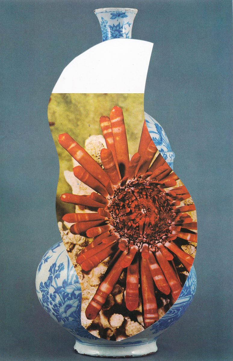 Vase, fleur — Eléonore False