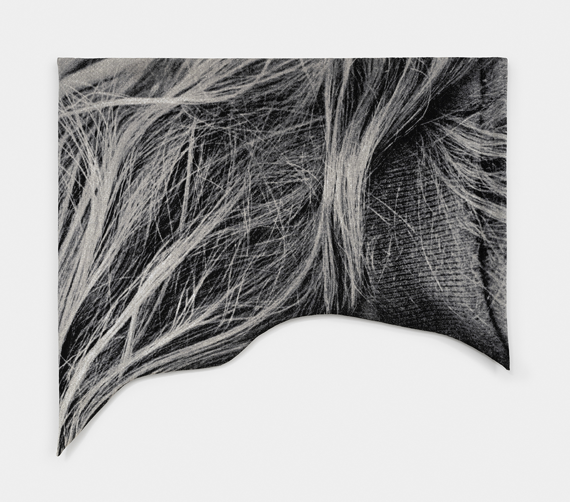 chevelure #1 — Eléonore False