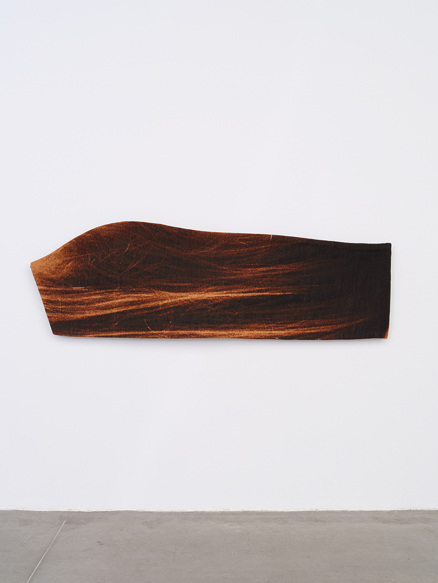 Chevelure #2 — Eléonore False