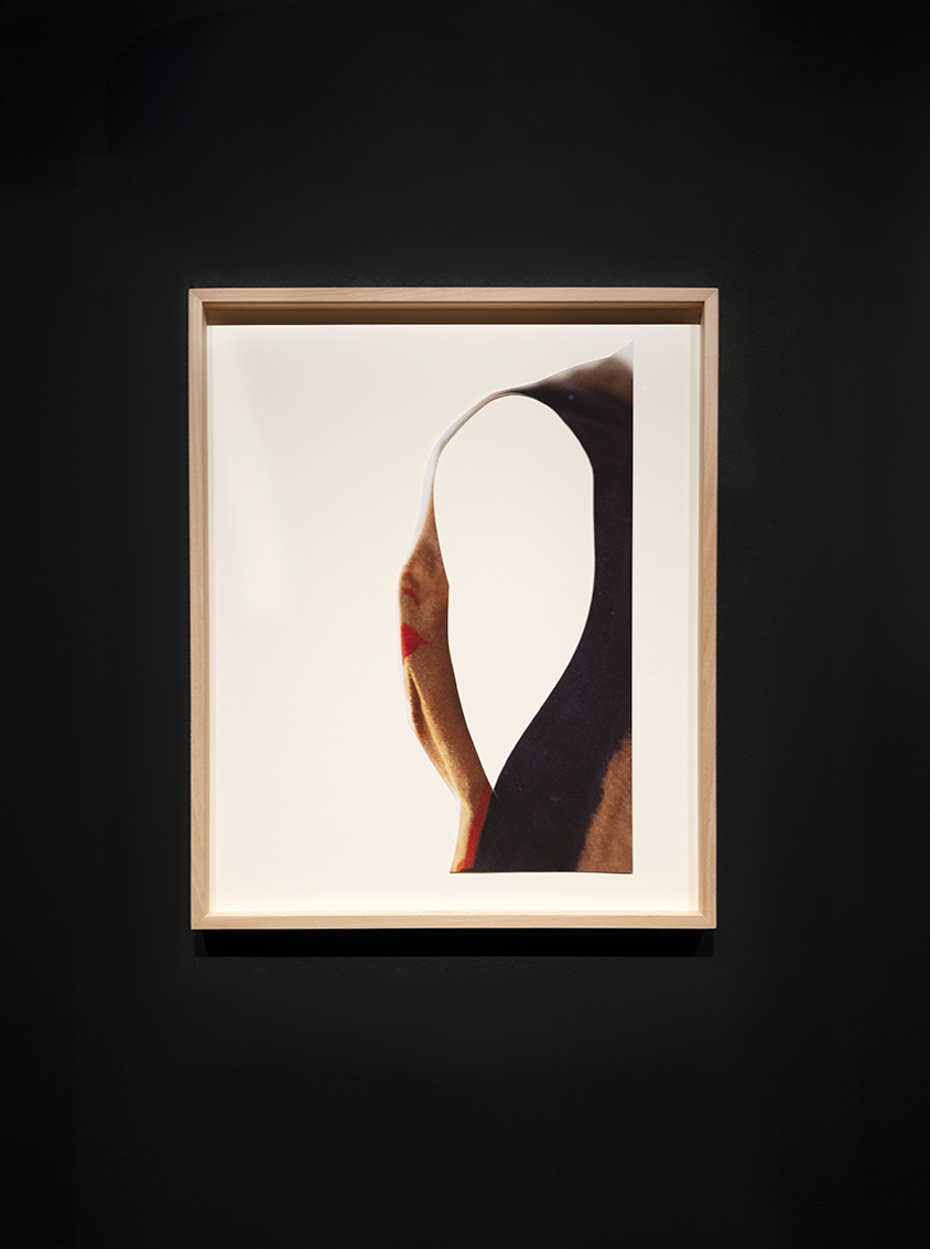 Ombres Roes Ombres #4 — Eléonore False
