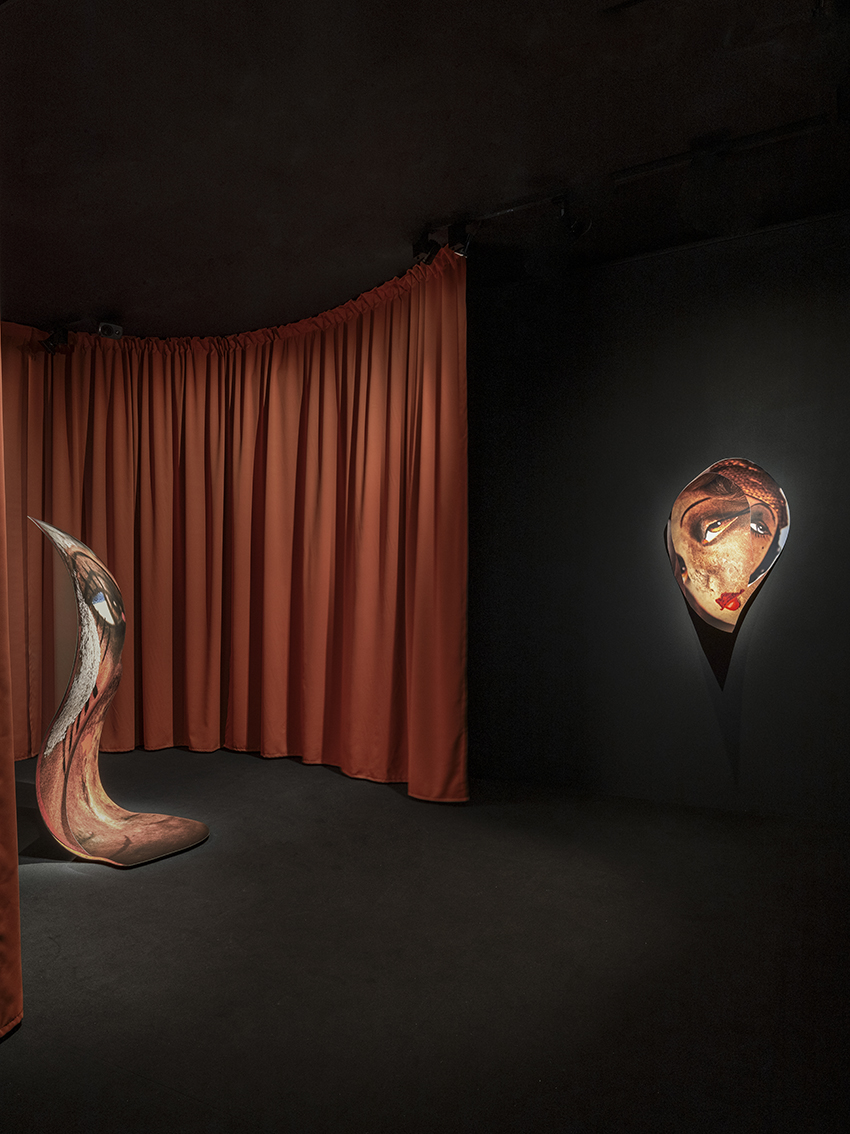 Eléonore False — Ombres Roses Ombres