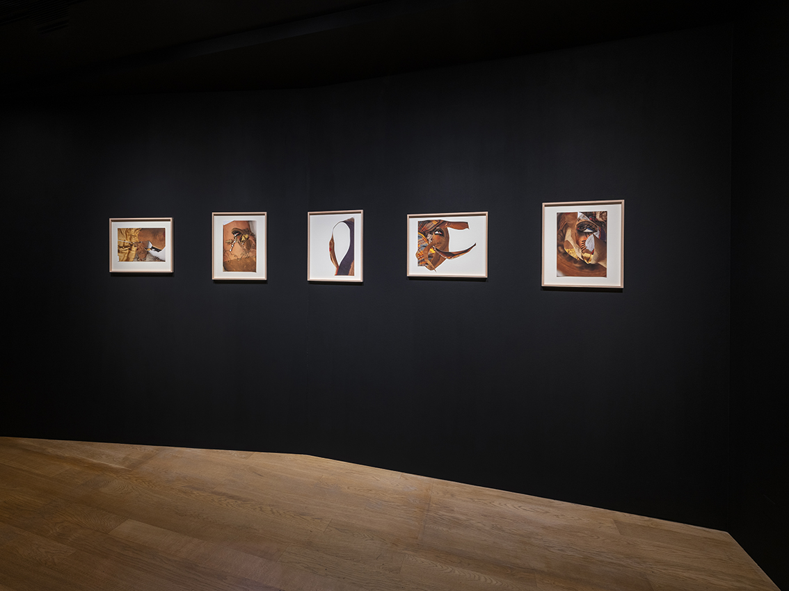 Eléonore False — Ombres Roses Ombres