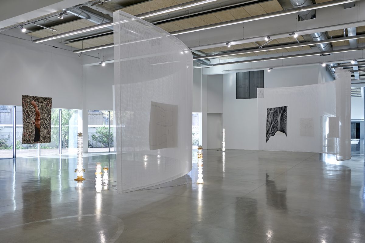 Eléonore False — Le Fil de chaîne