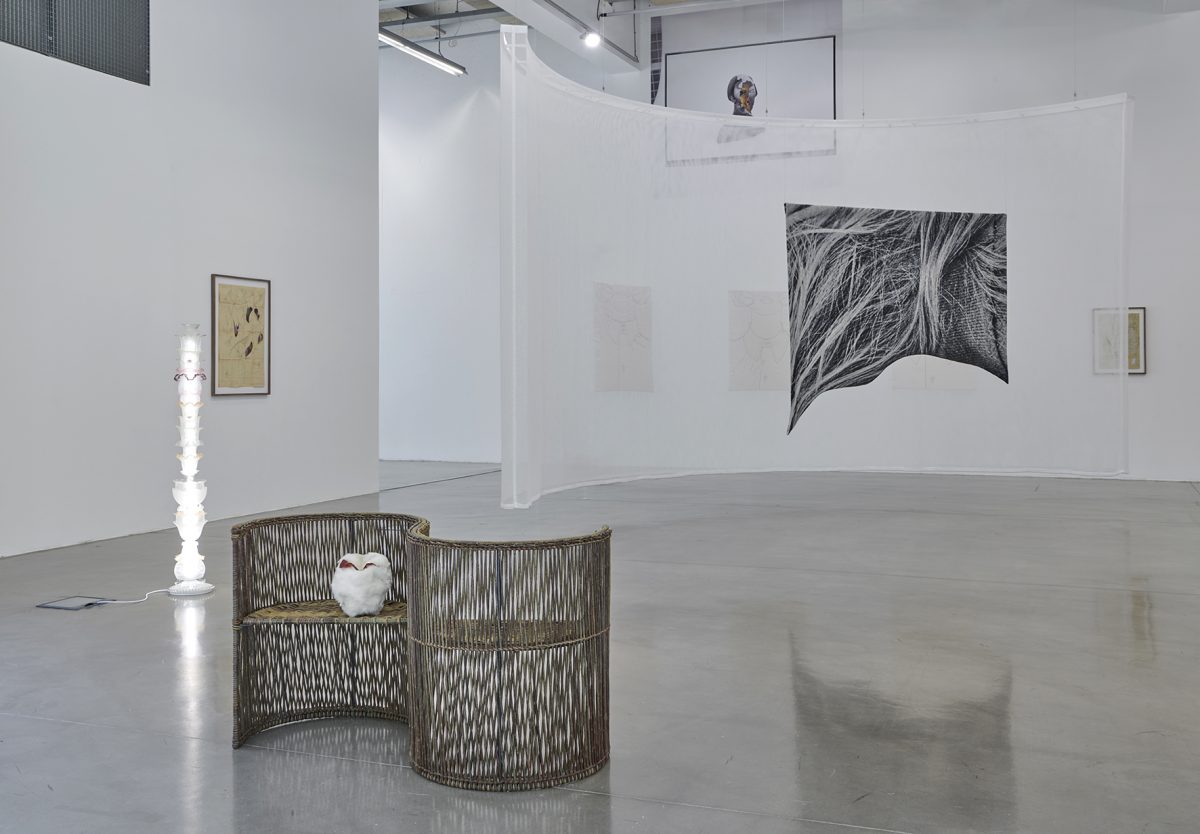 Eléonore False — Le Fil de chaîne