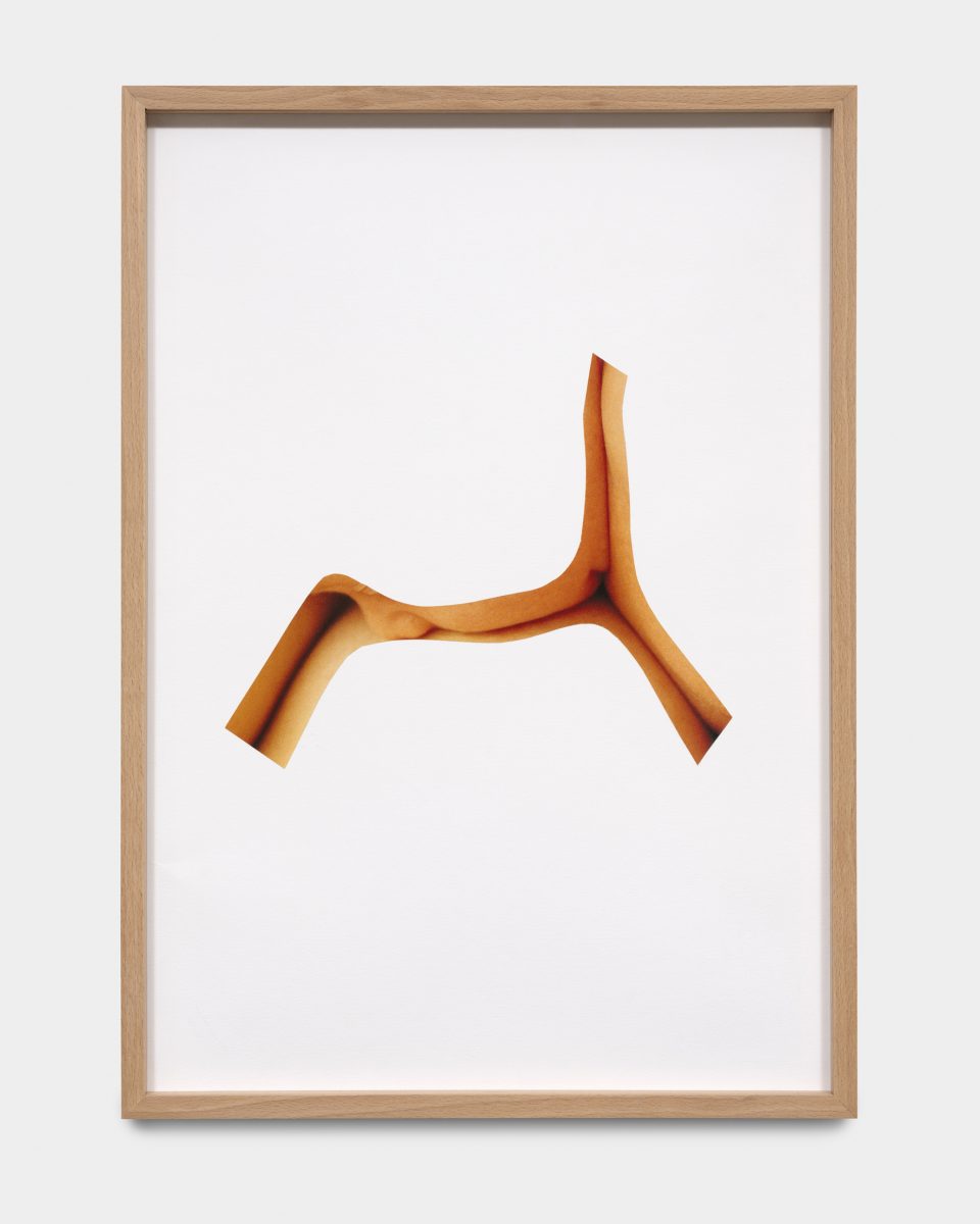 Sans titre ( maquette pour une installation) — Eléonore False